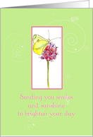 Sending You Smiles and Sunshine Thinking Of You card