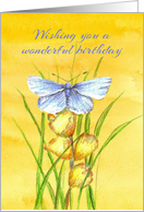 Wishing You A Wonderful Birthday Butterfly card
