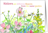 Thinking of You Sister Honey Bee Flower Garden card