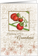 Thinking of You Grandma Cherry Tomatoes Collage Art card