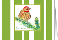 Friends Bird Finch Tree Avocado Green Stripe card