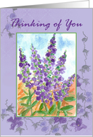 You Are Enough You Matter Purple Lupine Flower Collage card