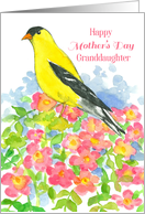 Happy Mother’s Day Granddaughter Goldfinch Wild Roses card