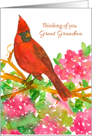 Thinking of You Great Grandma Cardinal Bird Rhododendron card