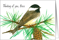 Thinking of You Boss Chickadee Bird Pine Cone Branch card
