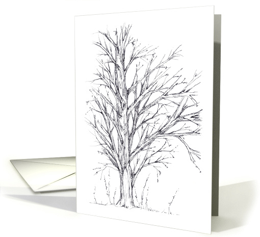 Winter Tree Black Pen and Ink Art Drawing Blank card (898770)