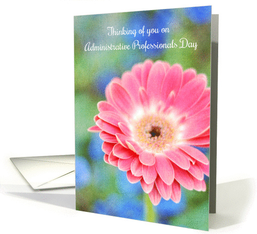 Administrative Professionals Day Thinking of You Pink... (90031)