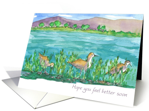 Hope You Feel Better Soon Stilt Shore Birds card (906710)