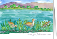 Hope You Feel Better Soon Stilt Shore Birds card