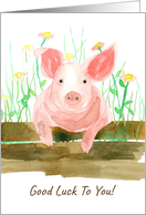 Good Luck To You Pink Pig Farm Animal card