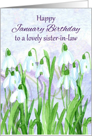 Happy January Birthday Sister-in-Law Snowdrops Birth Flower card