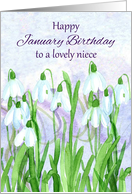 Happy January Birthday Niece Snowdrops Birth Flower card