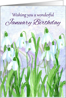 Happy January Birthday Snowdrops Birth Month Flower card