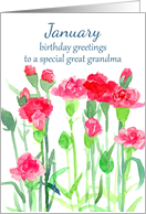 Happy Birthday Great Grandma Carantion January Birth Flower card