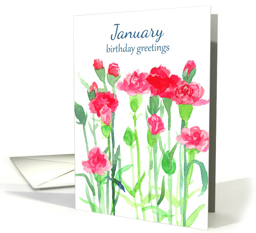 January Birthday Red Pink Carnation Flowers Watercolor card (913612)