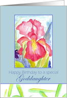 Happy Birthday Goddaughter February Pink Iris Flower Watercolor card