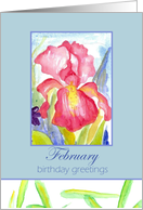 Happy Birthday February Pink Iris Flower Watercolor card