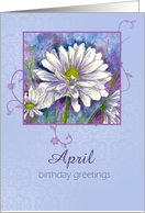 Happy April Birthday White Shasta Daisy Flower card