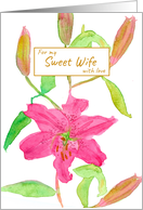 For My Sweet Wife With Love Pink Day Lily Flower card