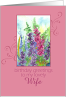 Happy July Birthday Wife Pink Larkspur Flower Watercolor Painting card