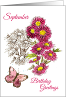 Happy September Birthday Aster Flowers Butterfly card