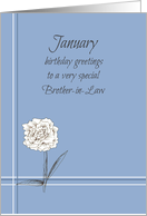 Happy January Birthday Brother-in-Law White Carnation card