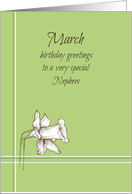 Happy March Birthday Nephew White Daffodil Flower card