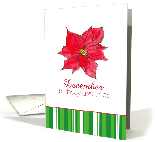 Happy December Birthday Red Poinsettia Flower card (925054)