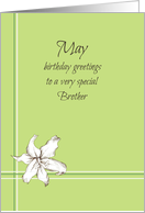 Happy May Birthday Brother White Lily Flower Drawing card