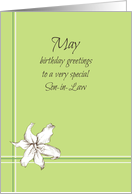 Happy May Birthday Son-in-Law White Lily Flower Drawing card