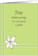 Happy May Birthday Godson White Lily Flower Drawing card