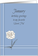 Happy January Birthday Secret Pal Carnation card