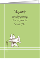 Happy March Birthday Secret Pal Daffodil Flower card