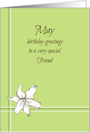 Happy May Birthday Friend White Lily Flower card