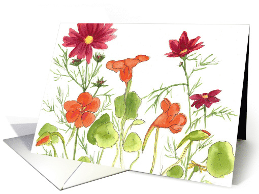 Red Painted Daisy Orange Nasturtium Blank card (93291)