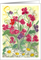 Sweet Pea Daisy Flower Garden Watercolor Blank card