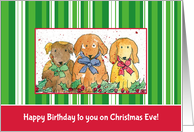 Happy Birthday on Christmas Eve Holiday Dogs card