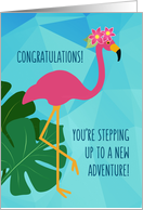 Congratulations! Stepping Up to Middle School Girls Pink Flamingo card