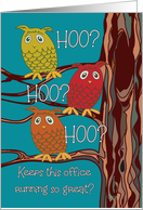 Owls Fun Administrative Professionals Day card