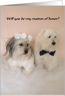 Will you be my matron of honor? card