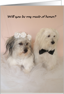Will you be my maid of honor? card