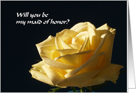 Will you be my maid of honor? card