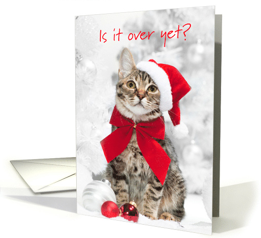 Funny Cat Christmas card (1198882)