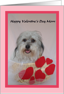 Mom Valentine -- The Best Mom card