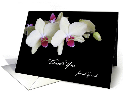 Just to Say Thank You Administrative Professionals Day... (164934)