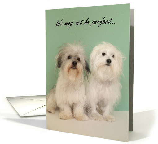Mothers day from dog (Unconditional love) card (174416)