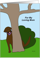 Mothers Day Card from the Dog (Labrador) card
