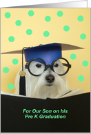 Pre K Graduate Dog -- Son card