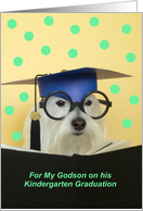 Kindergarten Graduate Dog -- Godson card