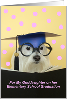 Elementary Graduate Dog -- Goddaughter card